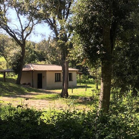 Caseddu Au Coeur Du Maquis Sotta Exterior foto